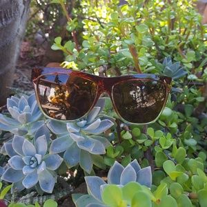 electric caffeine sunglasses